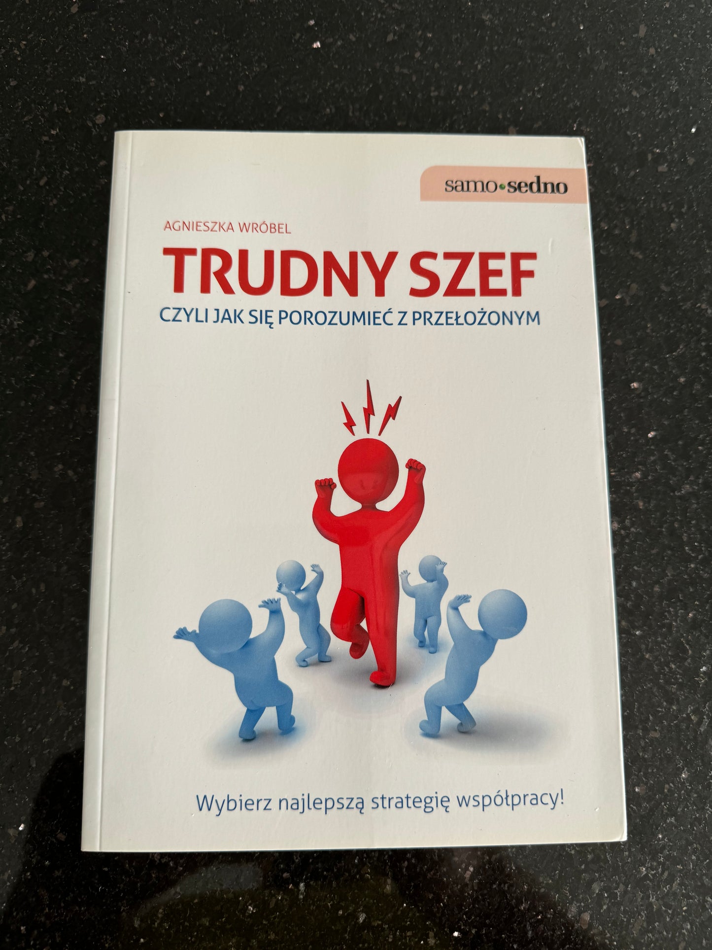 Samo Sedno - Trudny Szef - Polish Book Fast Delivery