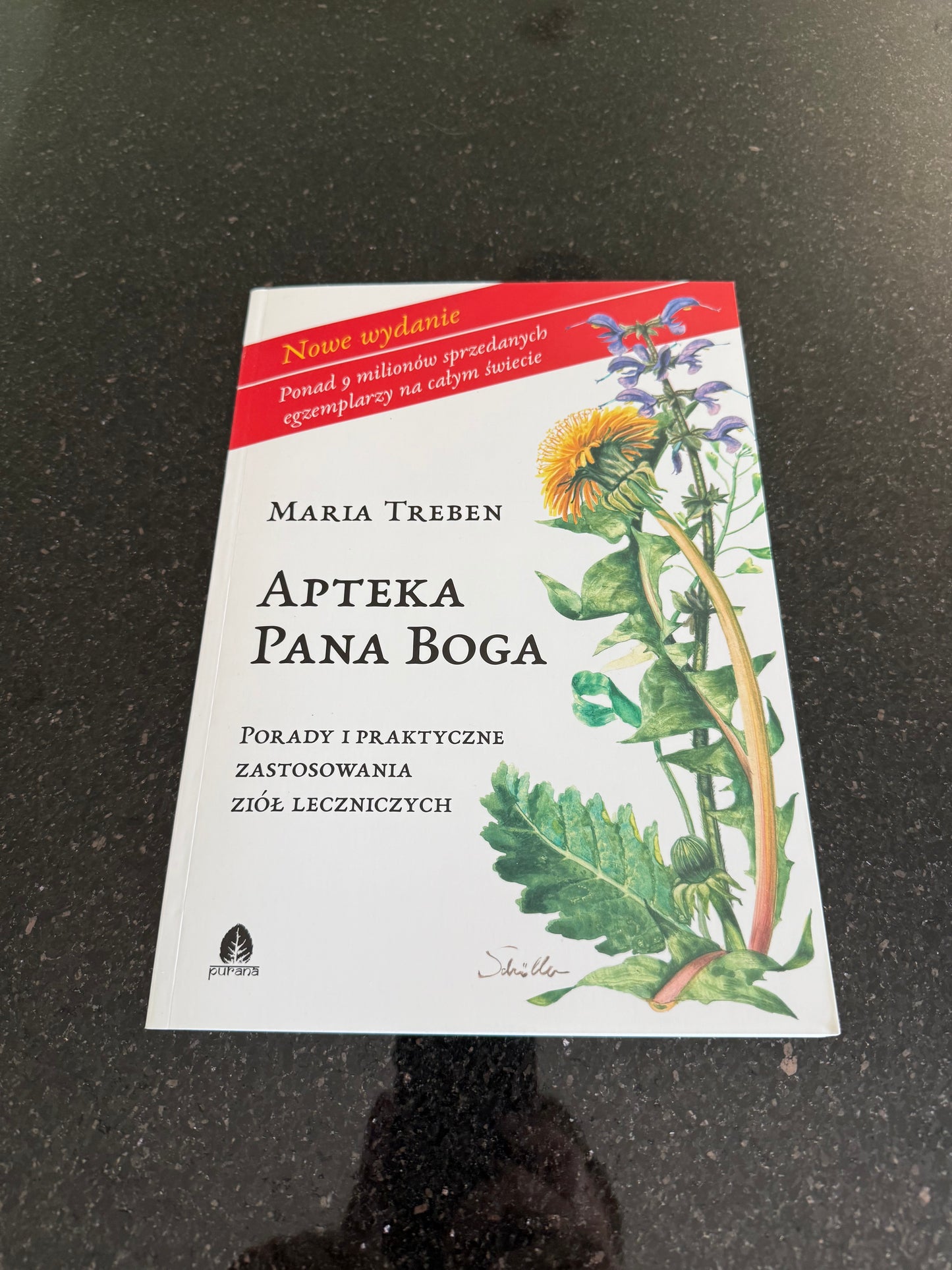 Polish 🇵🇱 Book - Maria Treben - Apteka Pana Boga