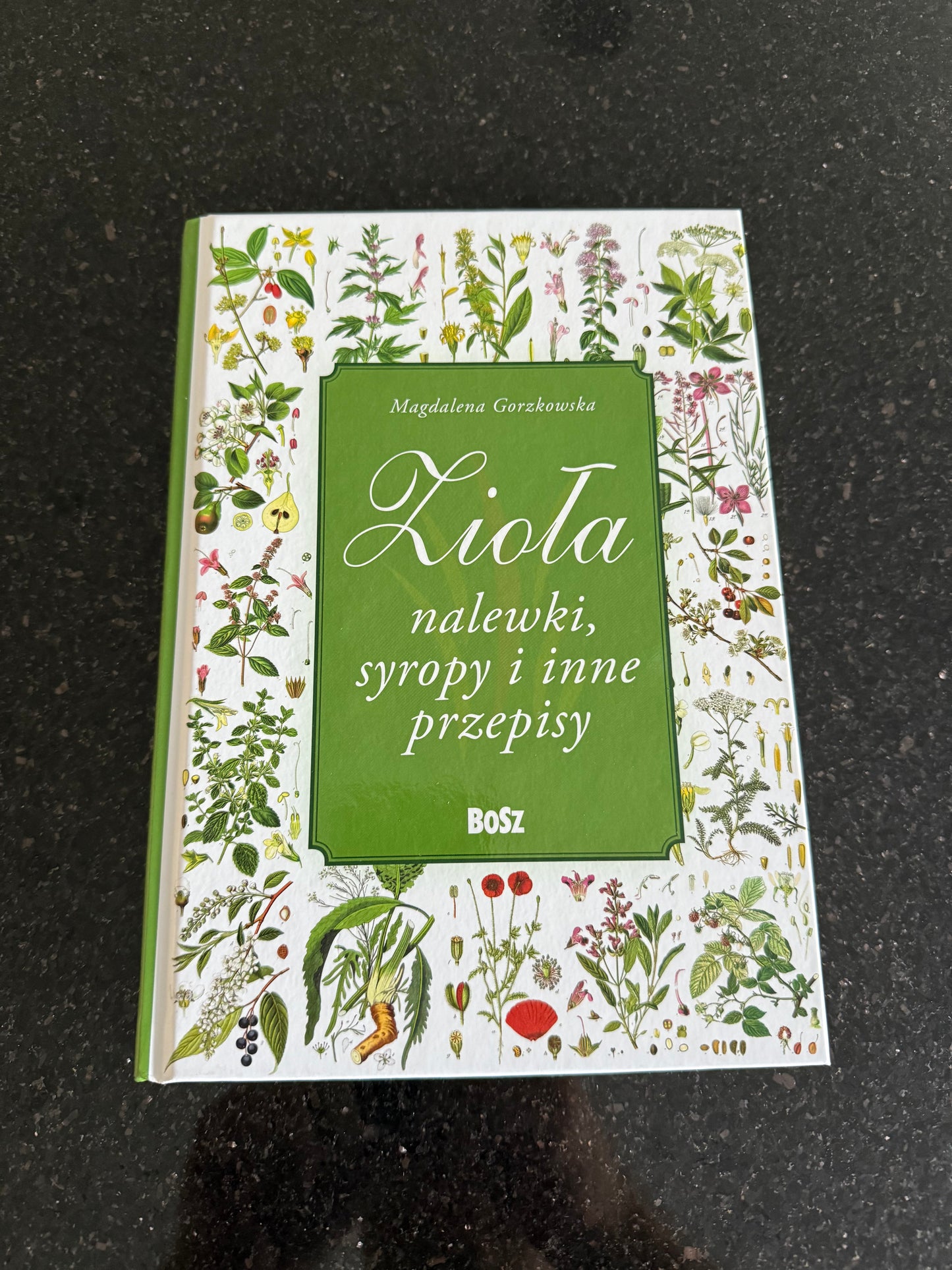 🇵🇱 Polish Book - Magdalena Gorzkowska (Zioła) Ziola nalewki syropy i inne przepisy