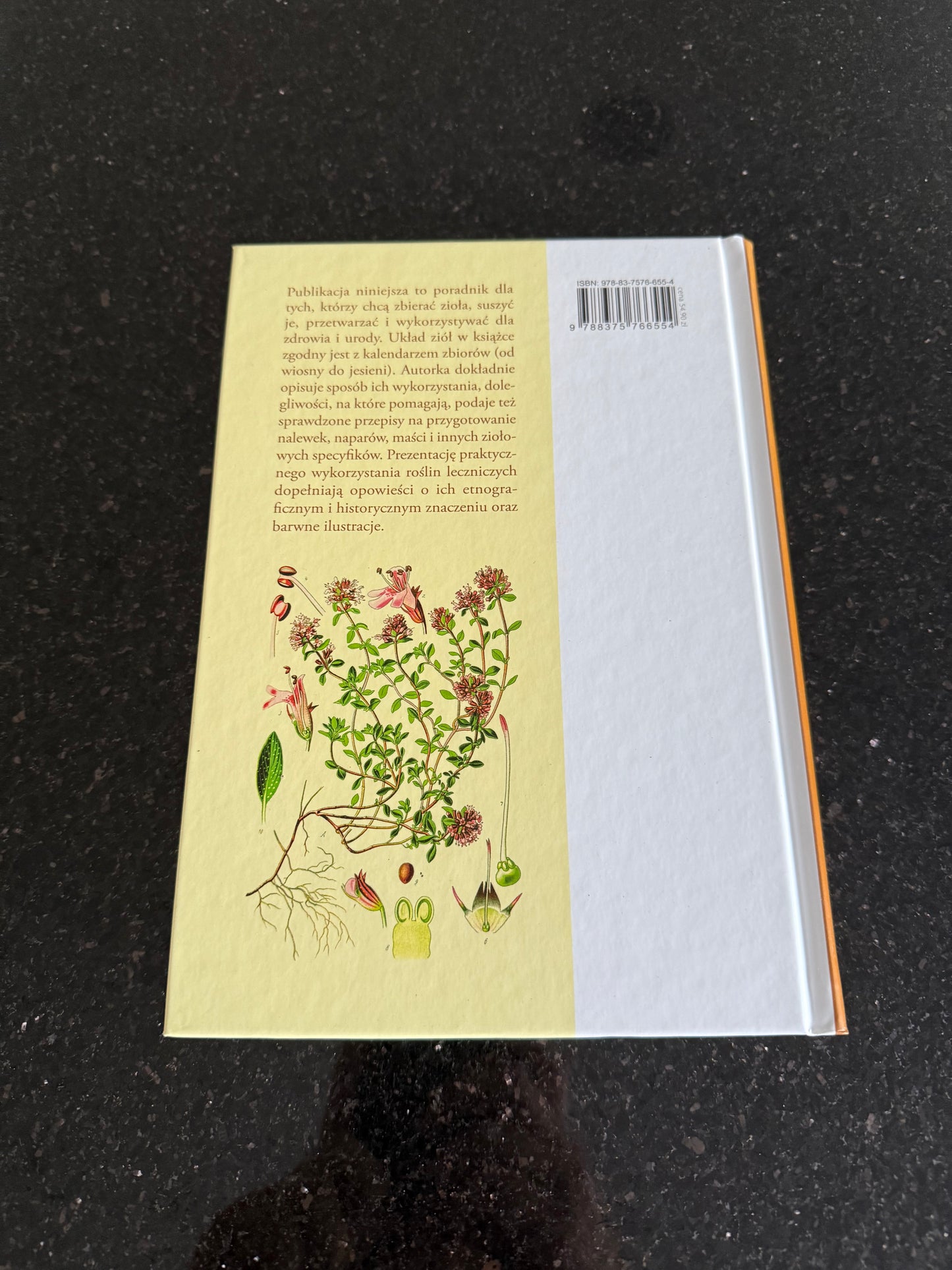 🇵🇱 Polish Book - Magdalena Gorzkowska (Zioła) Ziola - Jak zbierac przetwarzac stosowac