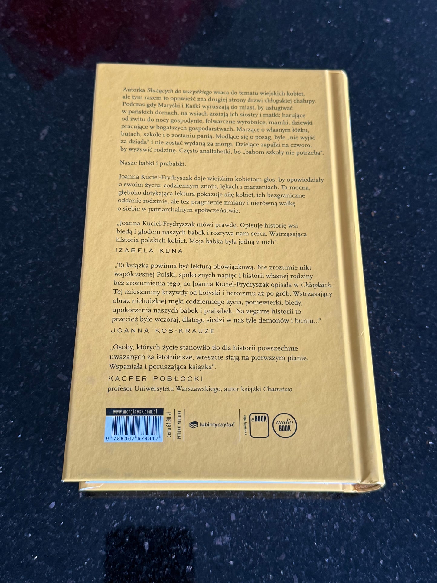 Polish 🇵🇱 Book - Joanna Kuciel-Frydryszak - Chlopaki - Opwiesc o naszych babkach