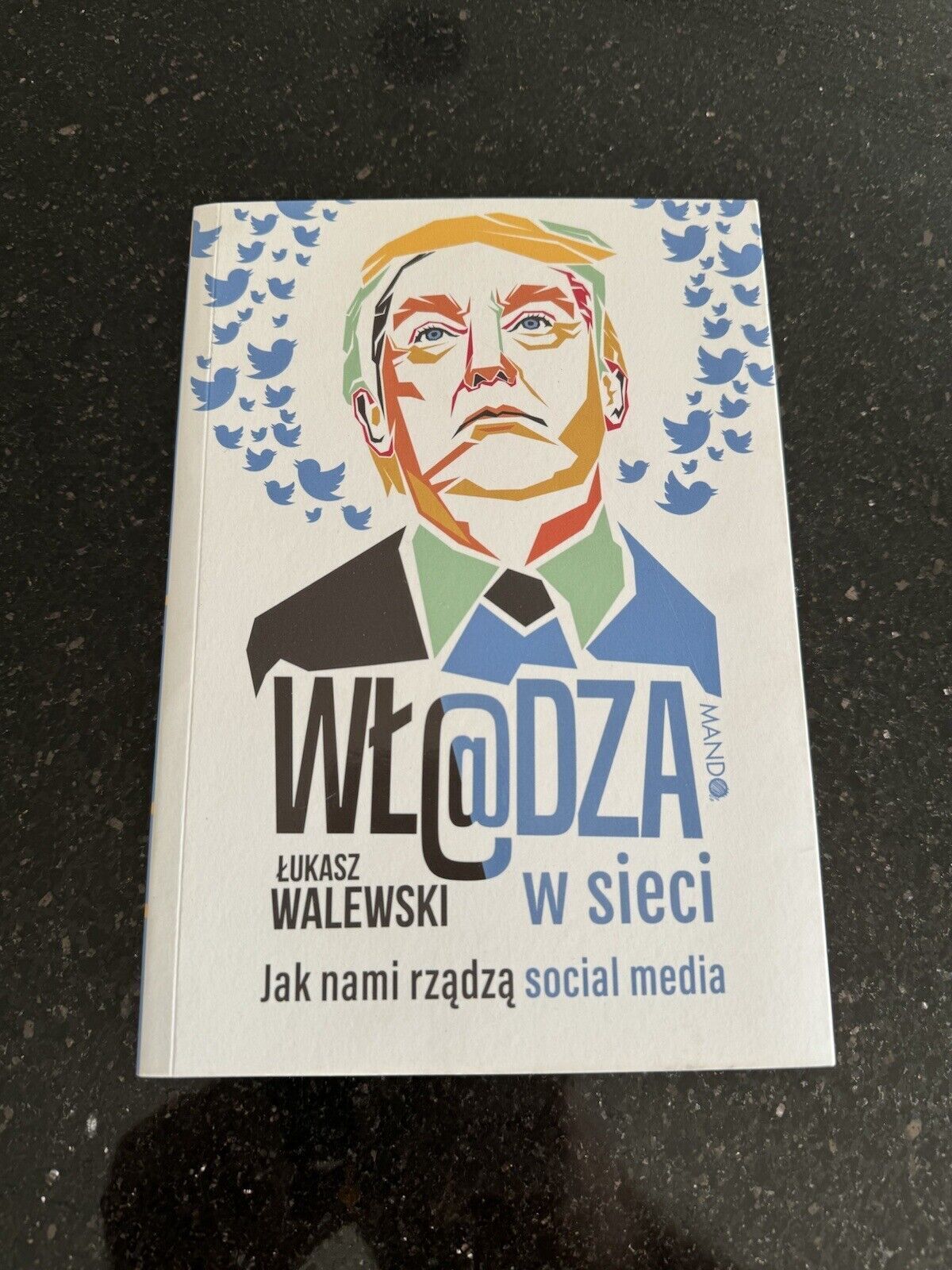 Lukasz Walewski - Wladza w sieci. Jak nami rzadza social media | Polish book