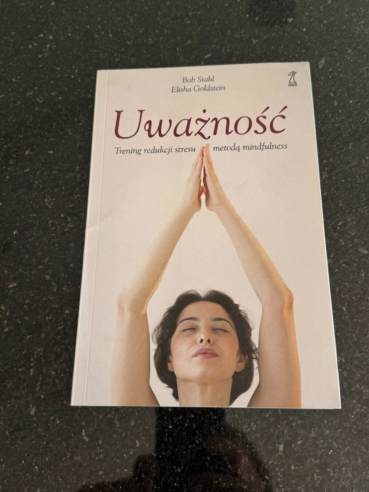 Bob Stahl Elisha Goldstein - Uważność Trening redukcji stresu Mindfulness