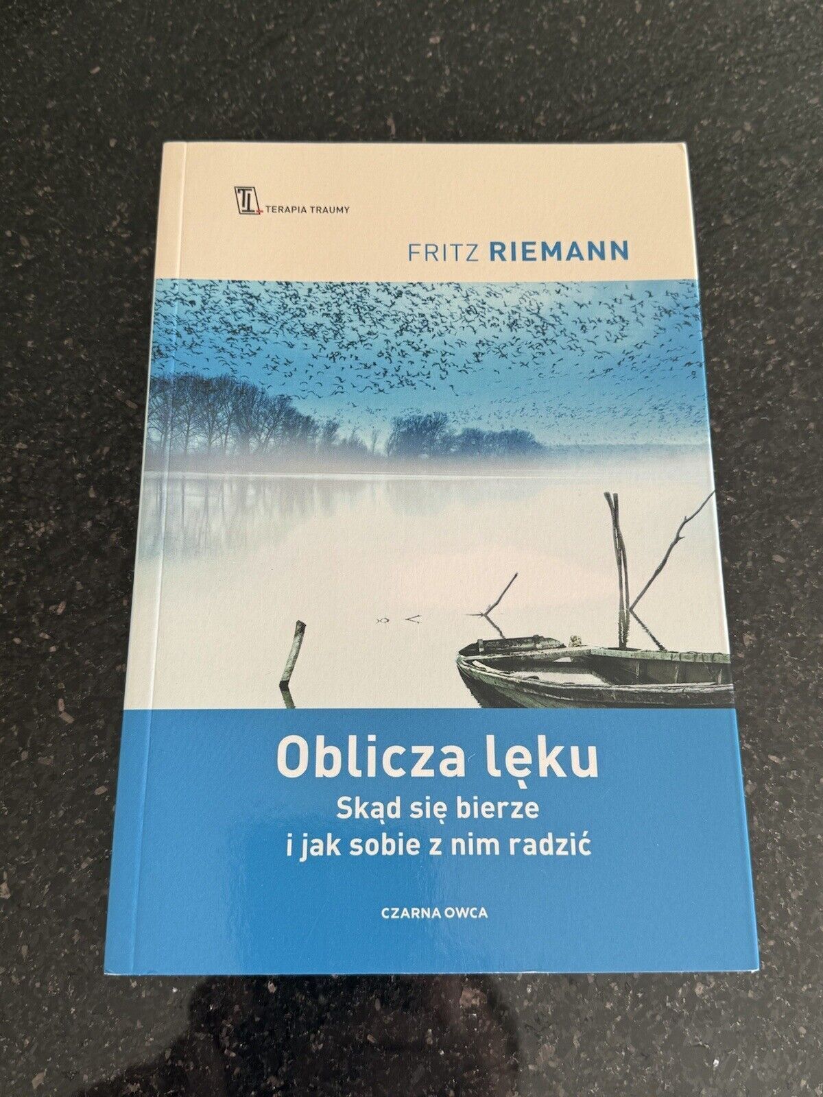 Oblicza lęku w 2022  FRITZ RIEMANN URSZULA POPRAWSKA 🇬🇧 UK Postage