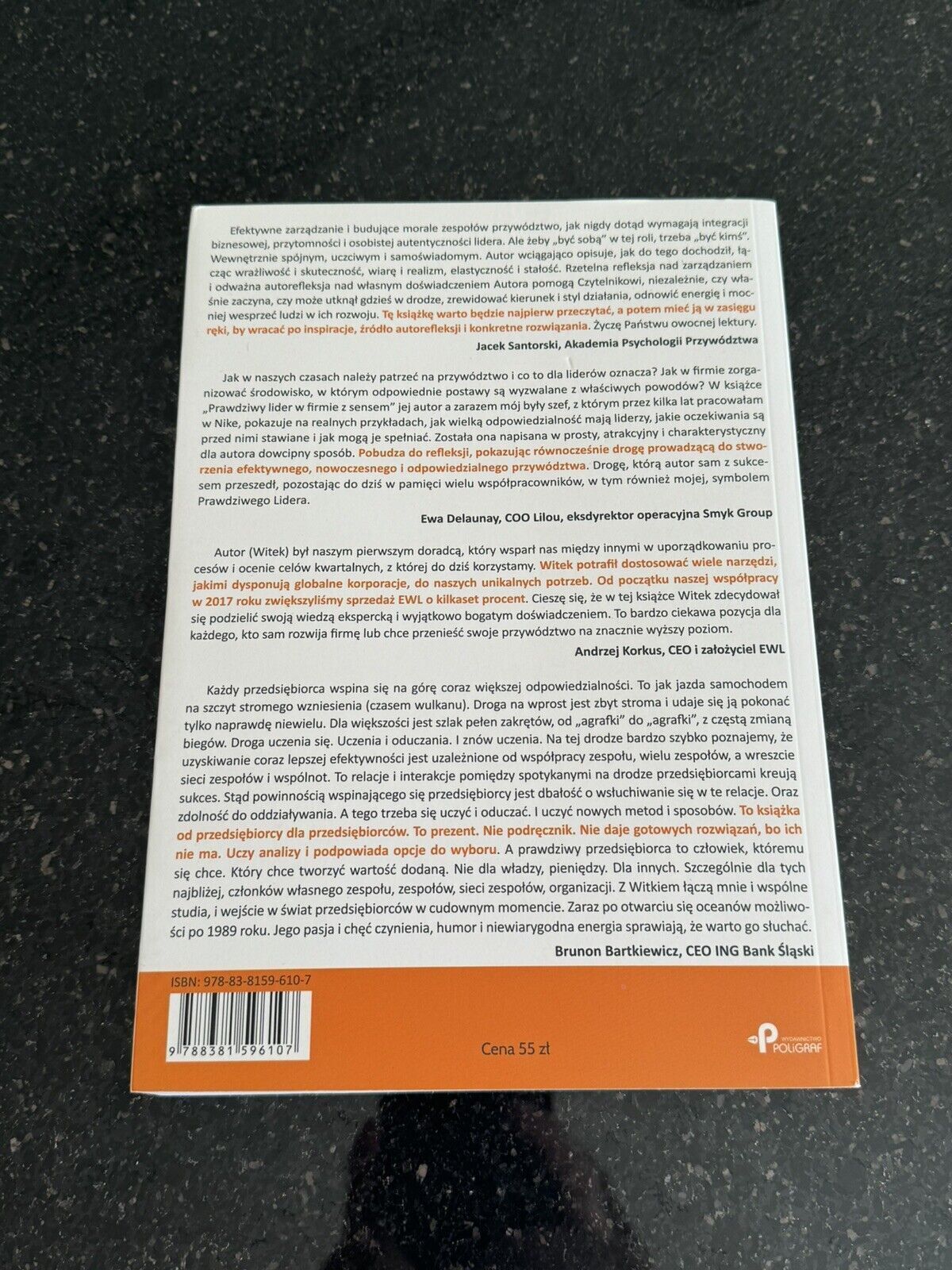 Prawdziwy lider w firmie z sensem. Twoja przemiana w przywództwie z pomocą ...)