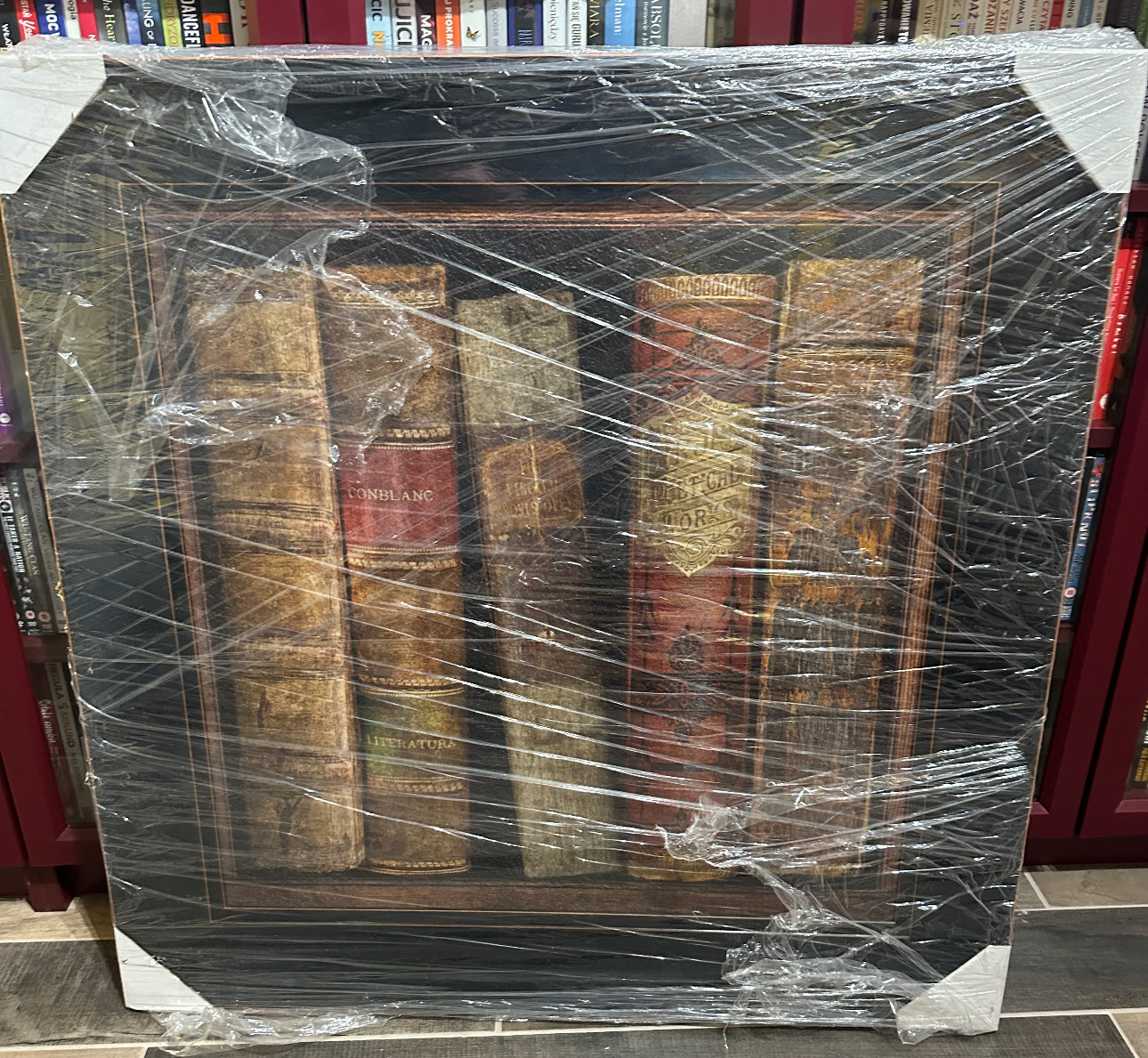 Exclusive Fine Art Set Russel Brennan - In The Library I & II