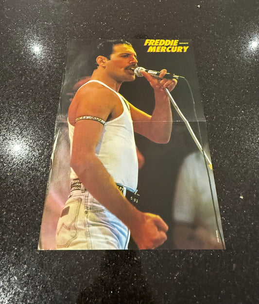 Freddy Mercury QUEEN - Medium Sized Old School Poster - RARE
