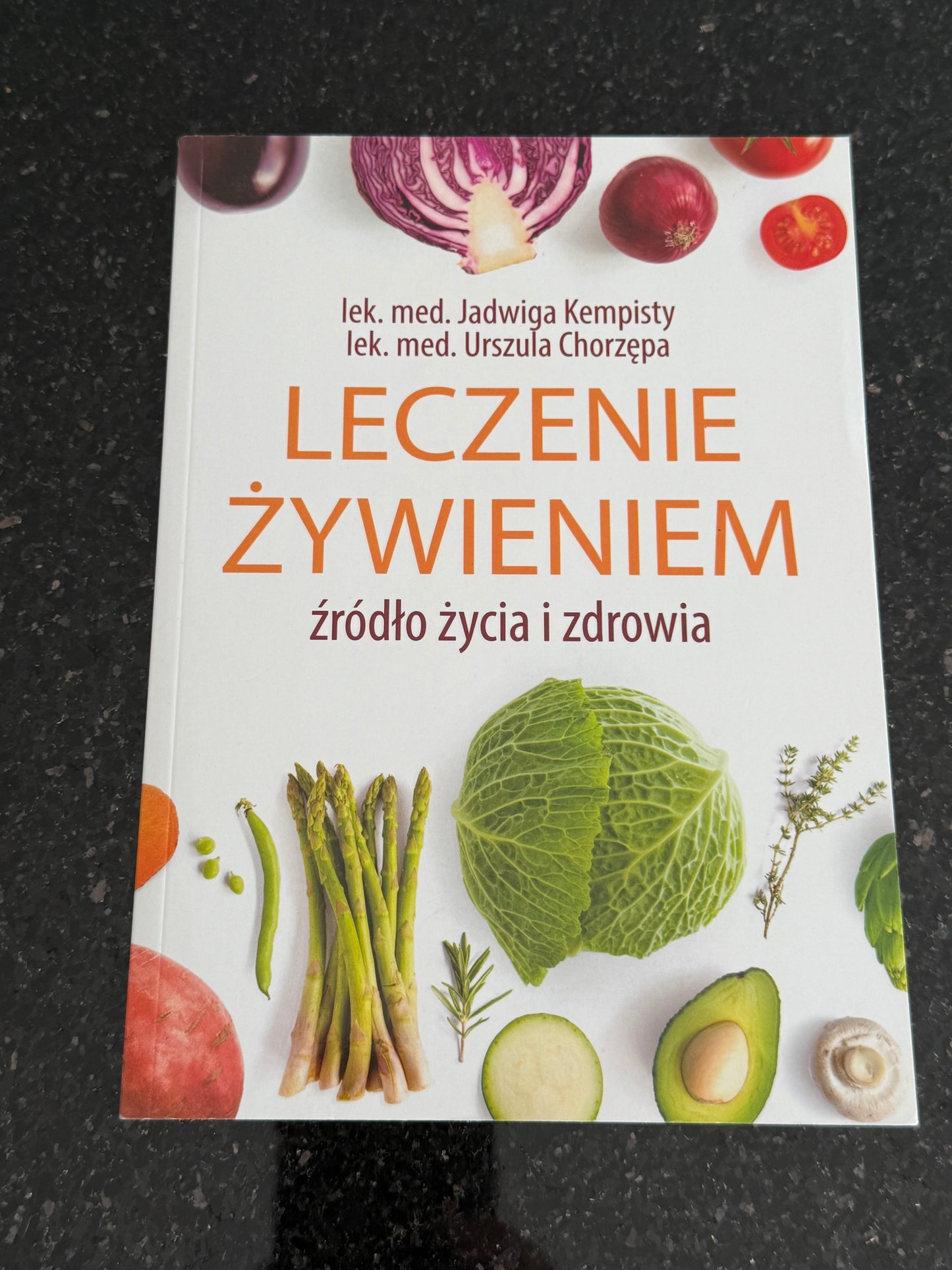 Polish 🇵🇱 Book - J. Kempisty & Urszula Chorzepa - Leczenie Zywieniem (Żywieniem)