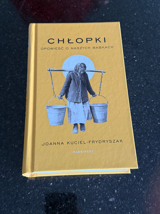 Polish 🇵🇱 Book - Joanna Kuciel-Frydryszak - Chlopaki - Opwiesc o naszych babkach