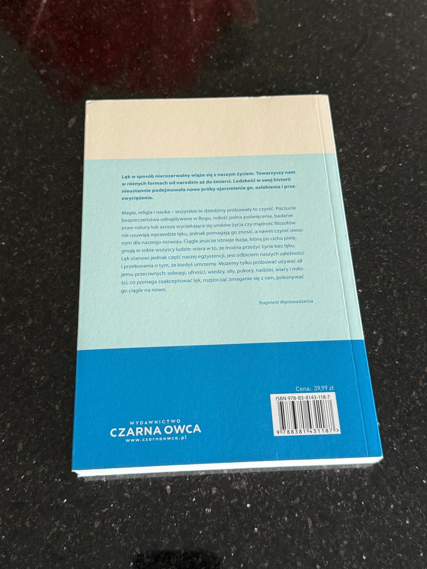 Polish 🇵🇱 Book - Fritz Riemann - Oblicza Lęku (Leku)